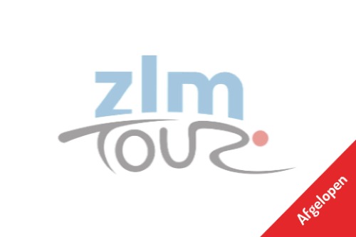 Logo ZLM