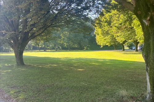 Grasveld toernooiveld