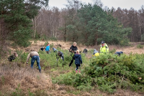 bij het slootjesven rooien