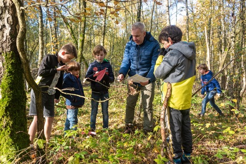 op zoek naar paddenstoelen